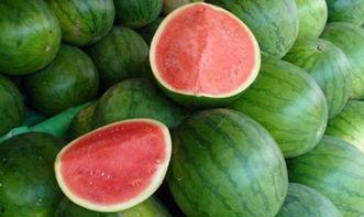 吃瓜吃大瓜,揭秘吃瓜吃大瓜的狂欢之旅