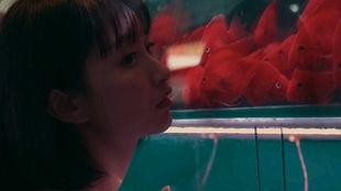 吃瓜少女狗蛋,揭秘娱乐圈背后的故事