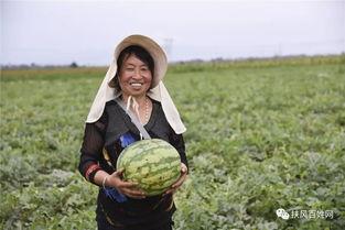 井瓜怎么吃最好,这样吃最营养！