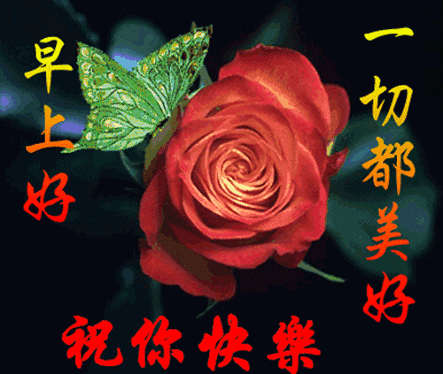 花儿吃瓜表情包动态,趣味横生的瞬间捕捉