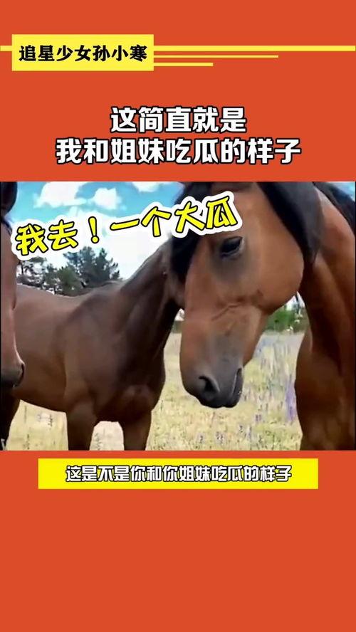 人间真实的吃瓜