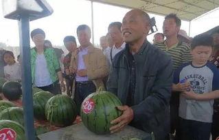 南看台吃瓜群众,揭秘赛场背后的故事与笑料