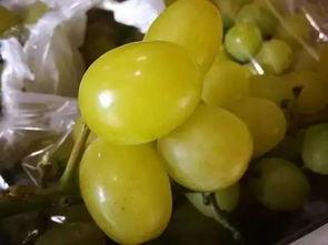 国产精品 吃瓜,吃瓜群众的热议焦点