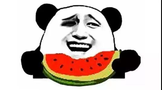 吃瓜群10362016,一场全民参与的狂欢盛宴