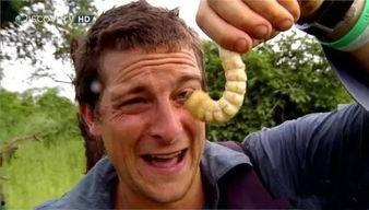 吃瓜群10362016,一场全民参与的狂欢盛宴