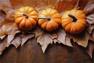 吃瓜留子的寓意,品味人生百态，领悟生活真谛