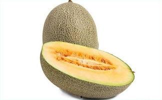 让吃哈密瓜,尽享甜蜜诱惑的味蕾之旅