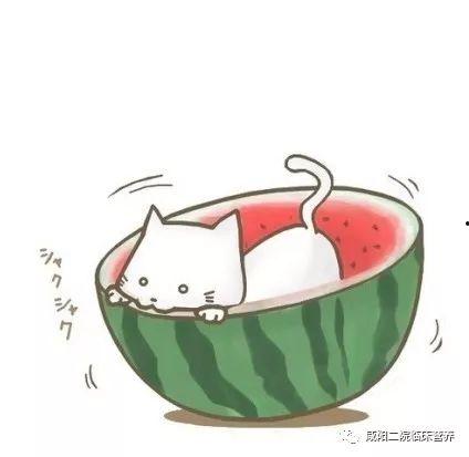 QQ吃瓜群头像,揭秘网络社交圈的趣味与热议