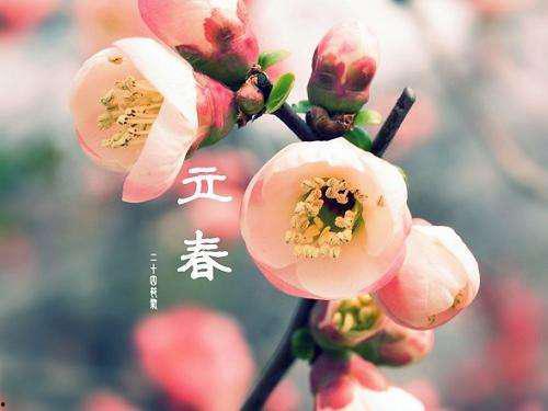 立春吃瓜的寓意,吃瓜寓意吉祥，开启美好一年