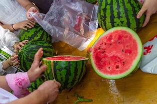 吃瓜视频教室,揭秘娱乐圈幕后故事