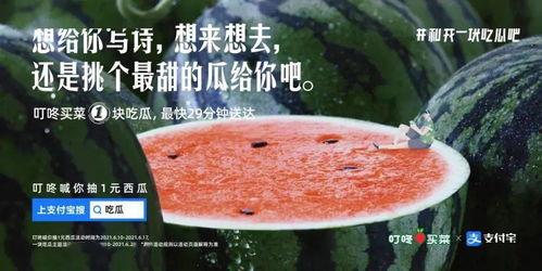 吃瓜文化文案图片,揭秘吃瓜文化背后的趣味与现象