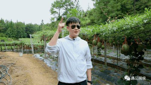 李明贵吃瓜,揭秘娱乐圈幕后故事