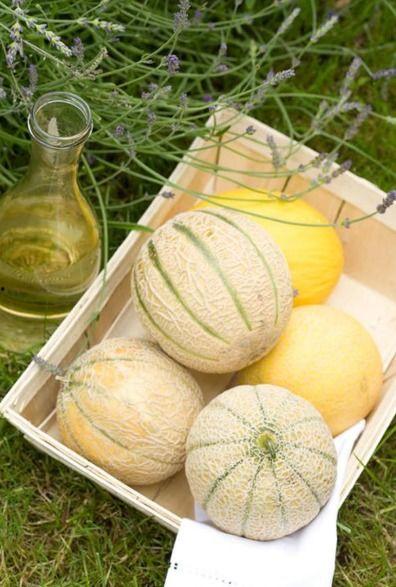 二愣吃瓜,揭秘娱乐圈那些不为人知的幕后故事