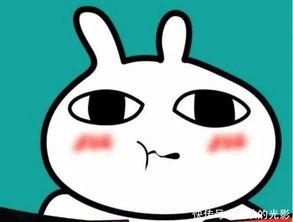 吃瓜群众把瓜丢了,瓜界风云再起