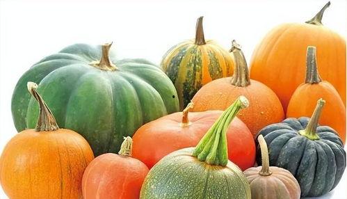 蕃薯吃瓜,探寻田园美食新风尚