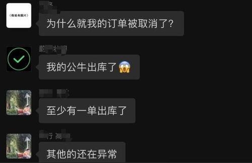 吃瓜直播回归,带你重返娱乐热点现场！