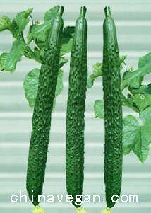 老汉吃瓜,笑谈乡村生活变迁