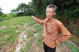 老汉吃瓜,笑谈乡村生活变迁