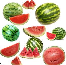 南工程吃瓜,揭秘校园热点背后的真相