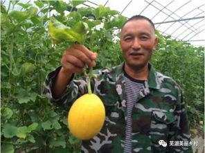 吃瓜群里的福利