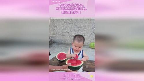 小脑虎吃瓜,揭秘动物界的“八卦”趣闻