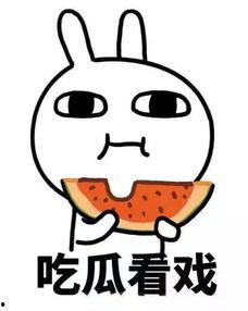 擅长吃瓜怎么写,揭秘资深吃瓜群众的独特视角