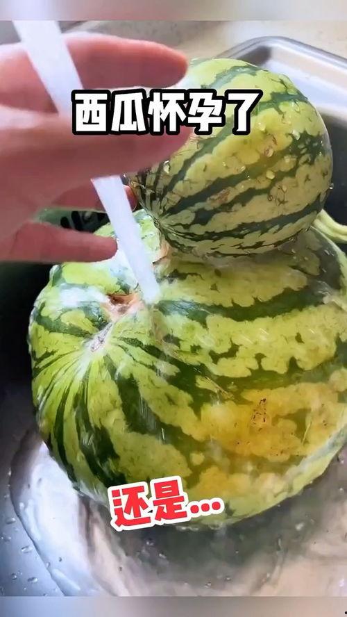 搜索搞笑吃瓜视频,笑料百出！搞笑吃瓜视频大盘点