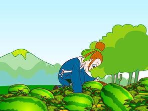 瓜吃瓜故事创编教案,从“吃瓜群众”到故事创编的奇妙旅程