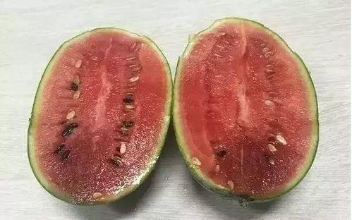 吃瓜得吐籽,品味生活点滴