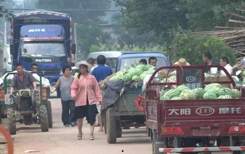 城市里吃瓜群众,揭秘都市生活百态