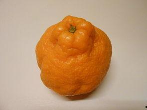 Ringzzi吃瓜,揭秘娱乐圈最新热点事件