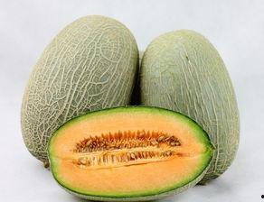 绿豆哈密瓜能一起吃,夏日养生佳品，营养互补的神奇搭配