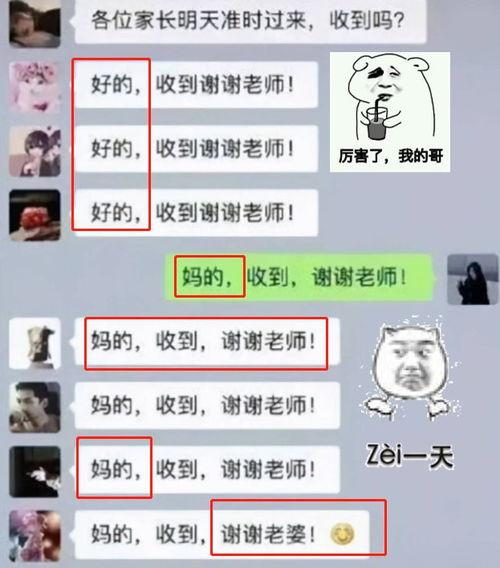 吃瓜班级群文案,校园生活的趣味瞬间