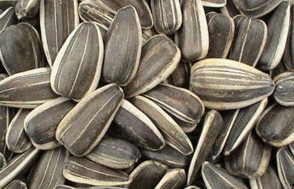 孕期记录吃瓜,甜蜜孕育的甜蜜滋味