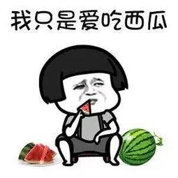 吃瓜吃出的道理,从日常琐事中领悟人生智慧