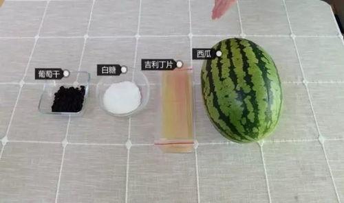 吃瓜技能的视频,跟随视频学习高效吃瓜技巧