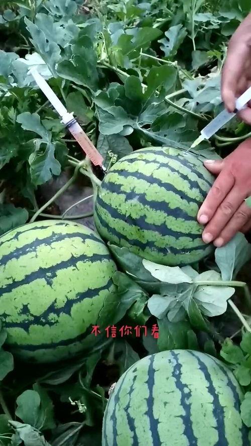 打针可以吃瓜吗