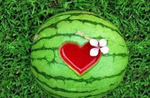 360度吃瓜广西,广西美食大赏