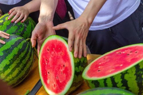 福建大学教室吃瓜,一堂课间的甜蜜分享