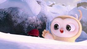 企鹅吃瓜搞笑视频,萌态可掬引网友爆笑