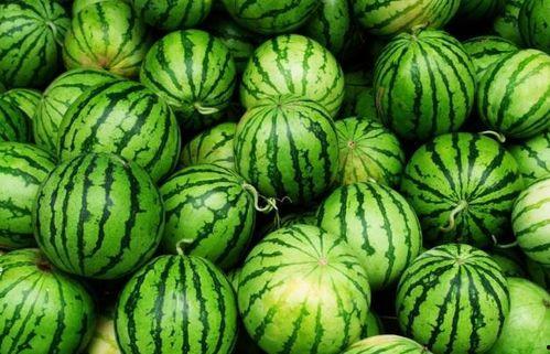 吃瓜能吃种子吗  第2张