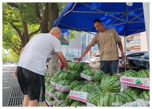 吃瓜登记,揭秘吃瓜登记背后的故事