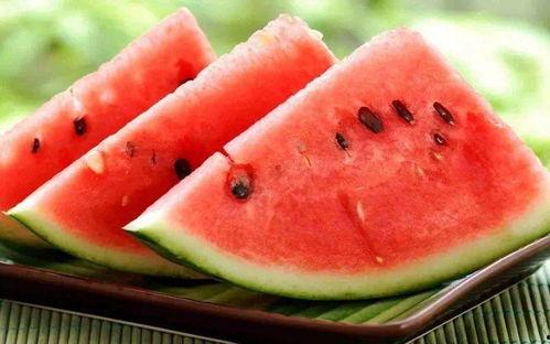 带你吃瓜野生,带你领略“吃瓜群众”的趣味生活  第3张