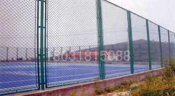 校园吃瓜围栏视频,揭秘校园生活趣味瞬间  第1张