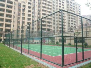 校园吃瓜围栏视频,揭秘校园生活趣味瞬间  第2张