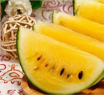 农场宴席吃瓜,瓜果飘香，共享丰收喜悦