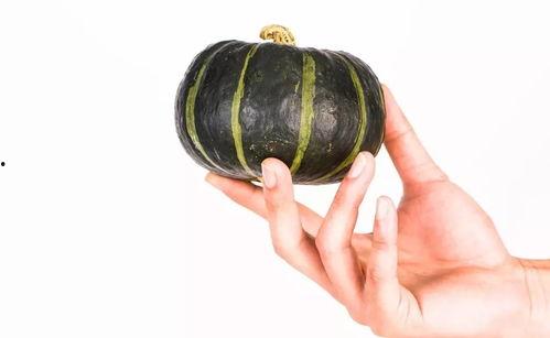 小筋瓜怎么吃,解锁美味新体验  第1张