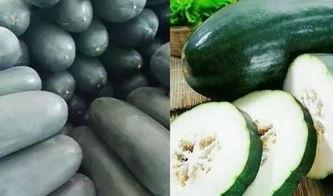 吃瓜吃得什么瓜,那些吃瓜群众津津乐道的瓜事大盘点 第3张 吃瓜吃得什么瓜,那些吃瓜群众津津乐道的瓜事大盘点 第3张