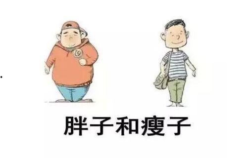 胖子吃瓜瘦子吃脲解释,揭秘饮食与体重的奇妙关系 第2张 胖子吃瓜瘦子吃脲解释,揭秘饮食与体重的奇妙关系 第2张