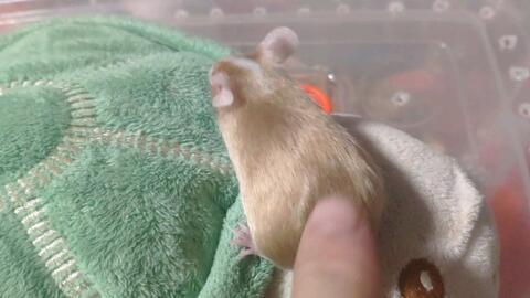 吃瓜群众吃瓜日常图片高清,高清捕捉吃瓜群众日常瞬间 第3张 吃瓜群众吃瓜日常图片高清,高清捕捉吃瓜群众日常瞬间 第3张